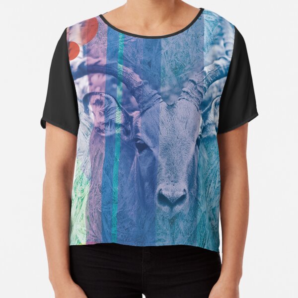 Chiffon Top