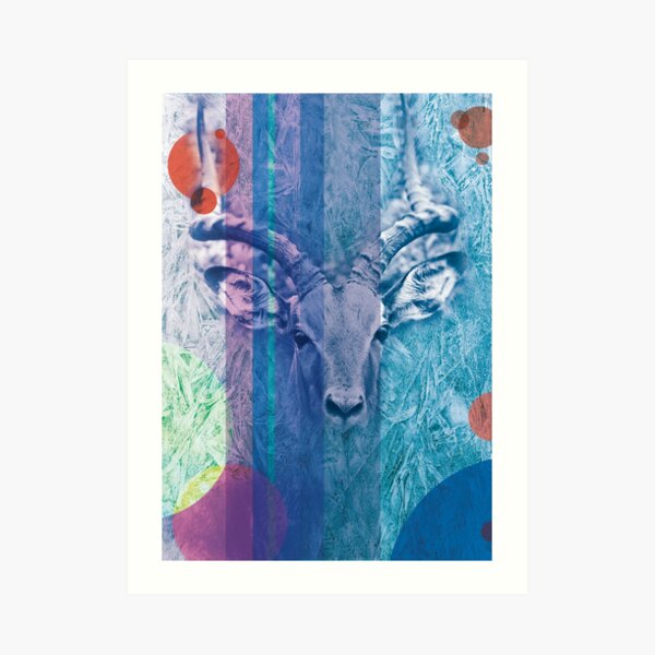 Art Print