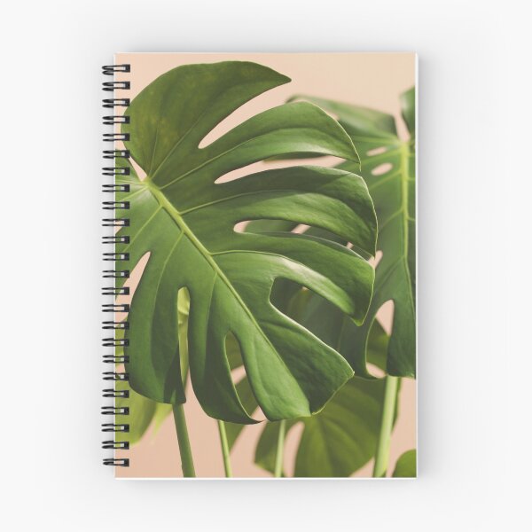 Item preview, Verdure #2 designed and sold by ALICIA BOCK.