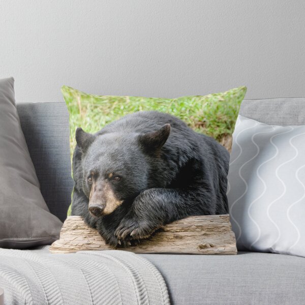 Item preview, Thinking it thru - Parc Omega, Montebello, PQ designed and sold by Tracey  Dryka.