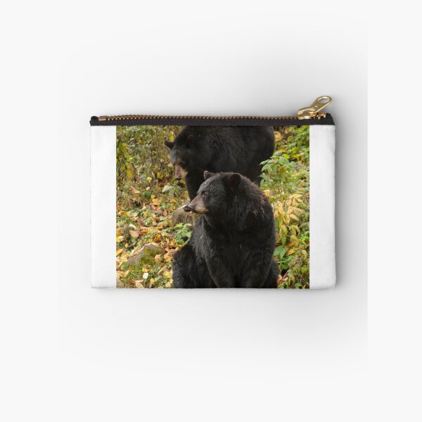 Item preview, Black bear - Parc Omega, Montebello, PQ designed and sold by Tracey  Dryka.