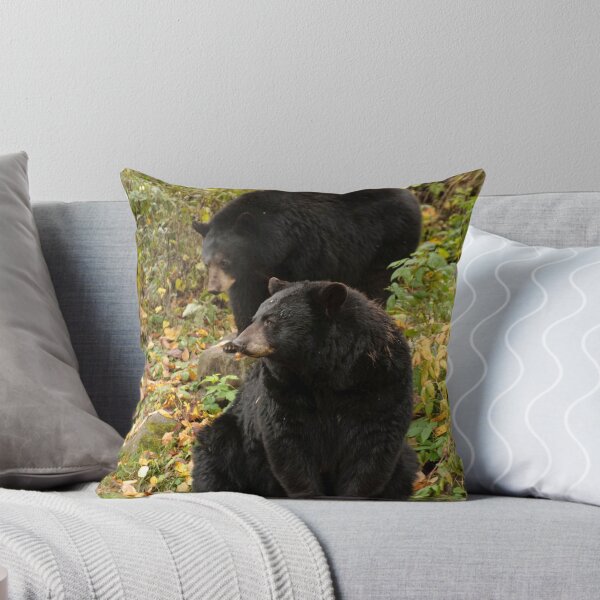 Item preview, Black bear - Parc Omega, Montebello, PQ designed and sold by Tracey  Dryka.