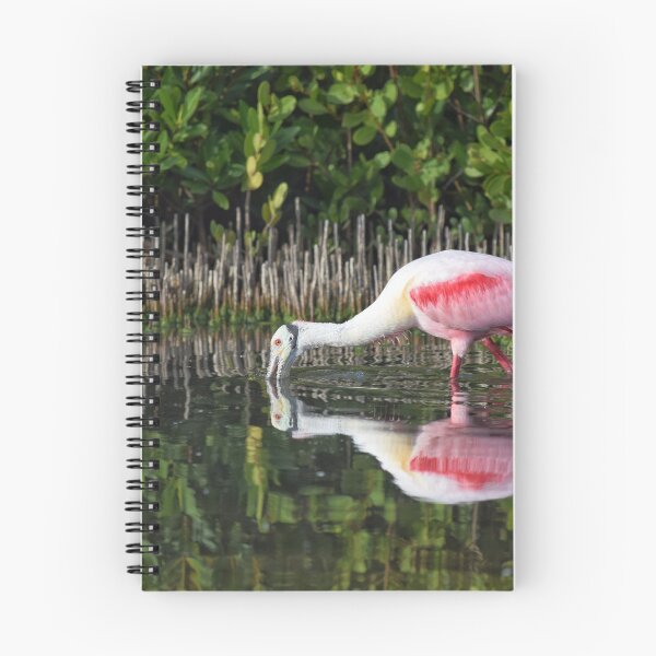 Item preview, Roseate Spoonbill Reflection designed and sold by Susan Wallace.