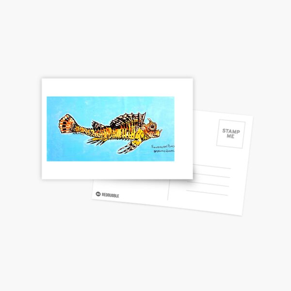 Fourhorn Poacher (Hypsagonus quadricornis) Postcard