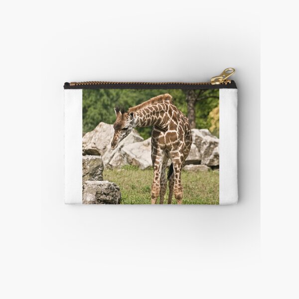Item preview, Masai Giraffe (calf) designed and sold by Tracey  Dryka.