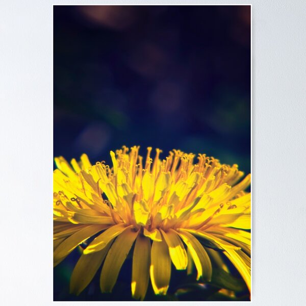 Item preview, Dandelion Glow designed and sold by Vicki Field.