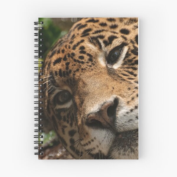 Item preview, Jaguar -Louisville Zoo designed and sold by Tracey  Dryka.
