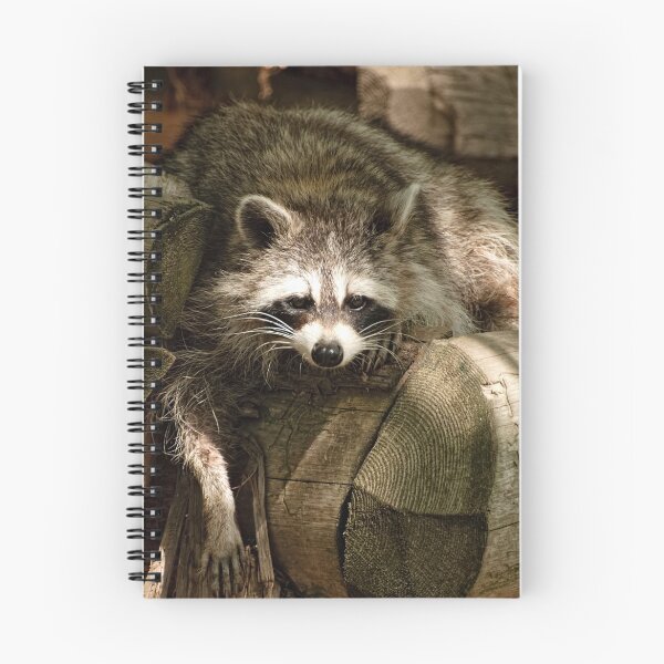 Item preview, Don't make me come over there! designed and sold by Tracey  Dryka.