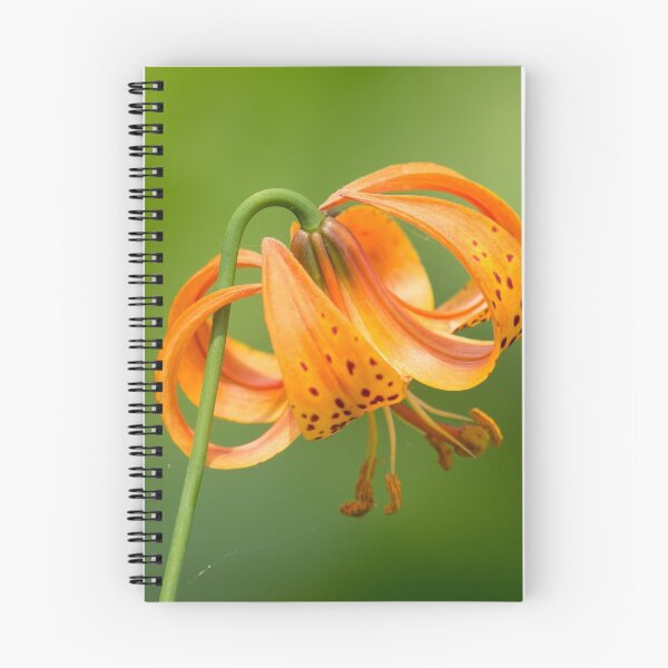 Item preview, Tiger Lily  designed and sold by EugeJ.