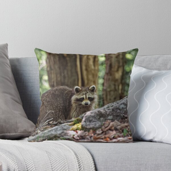 Item preview, Come back for a second look!! designed and sold by Tracey  Dryka.