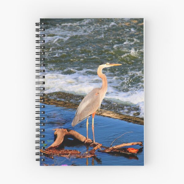 Item preview, Heron at White Rock Lake Spillway designed and sold by Lorri Crossno Nevil.