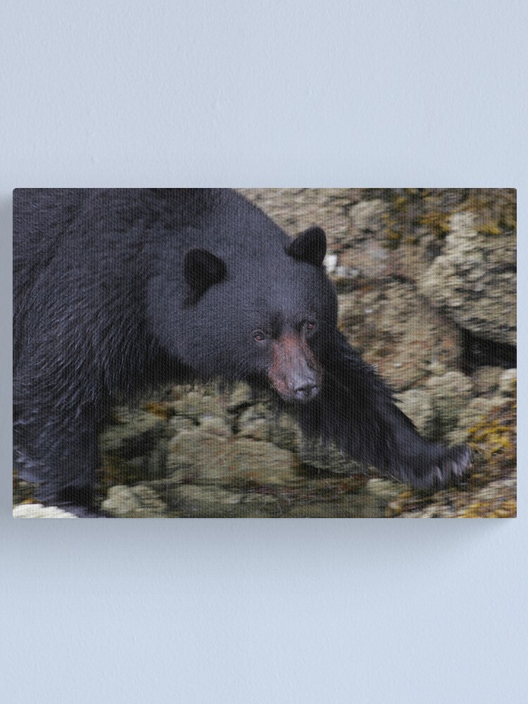 Alternate view of A Sense of Purpose Canvas Print