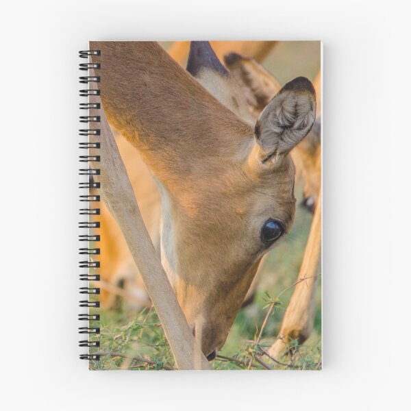 Item preview, Impala designed and sold by Jensphotos.