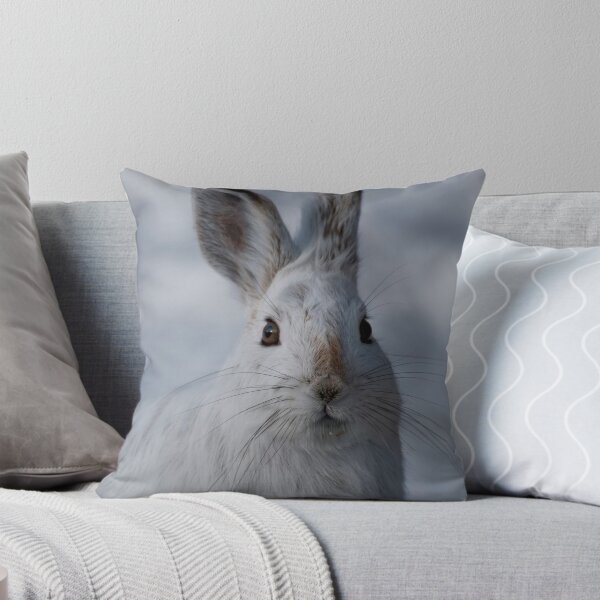 Item preview, Curiousity - Ottawa, Ontario designed and sold by Tracey  Dryka.