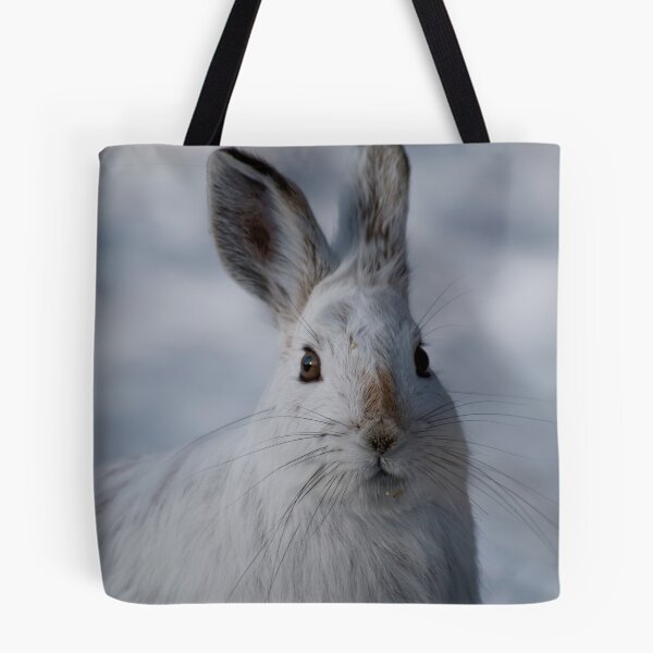 Item preview, Curiousity - Ottawa, Ontario designed and sold by Tracey  Dryka.