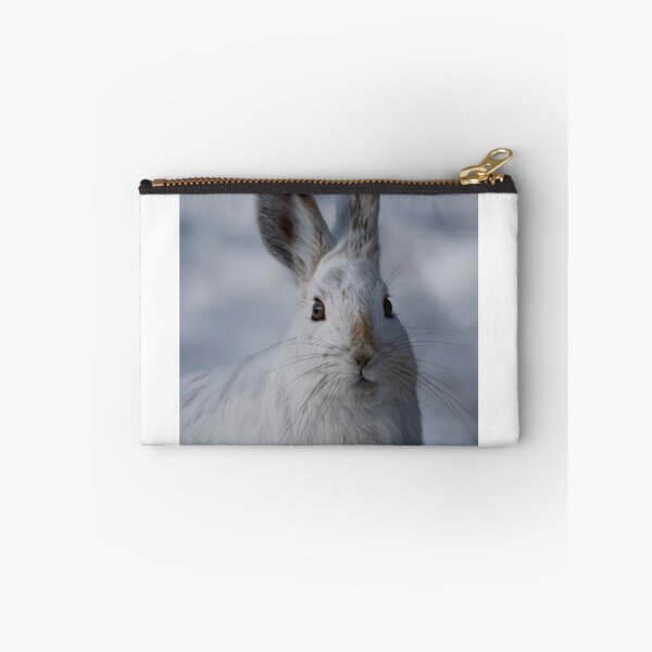 Item preview, Curiousity - Ottawa, Ontario designed and sold by Tracey  Dryka.