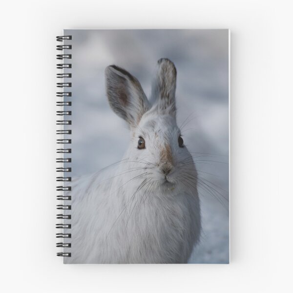 Item preview, Curiousity - Ottawa, Ontario designed and sold by Tracey  Dryka.