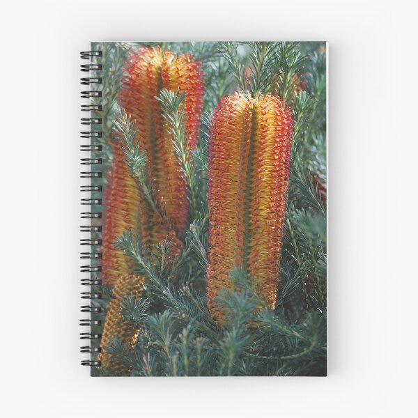 Item preview, Banksia Growing Strong designed and sold by Lozzar Flowers & Art.