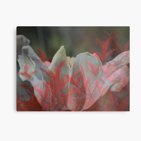 Delight Metal Print