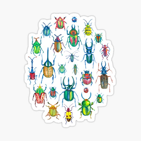 Item preview, Colours of beetles designed and sold by yukesmooks.