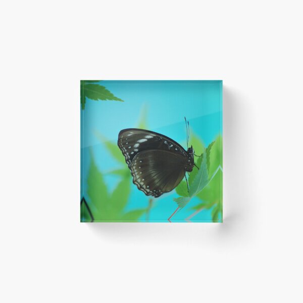 Item preview, Gentle Moment designed and sold by Lozzar Flowers & Art.