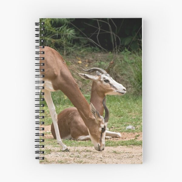 Item preview, Mhorr Gazelle designed and sold by Tracey  Dryka.