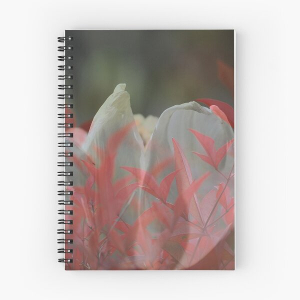 Item preview, Delight designed and sold by Lozzar Flowers & Art.