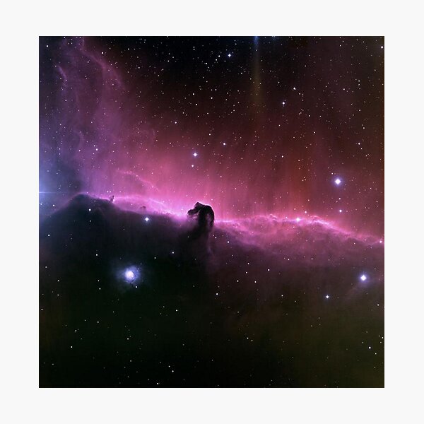 Horsehead Nebula Photographic Print