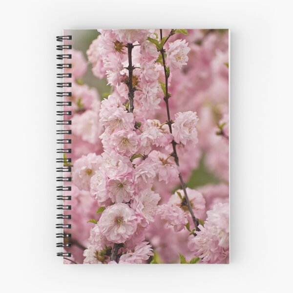 Item preview, Flowering Almond designed and sold by Tracey Dryka.