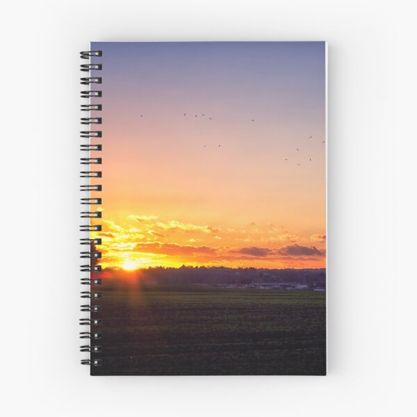 Item preview, Sunset Flyby  designed and sold by Vicki Field.