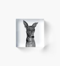 WINDHUND g389F Acrylblock