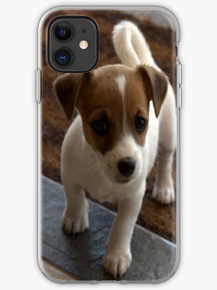 Dog Puppy Baby Jack Russell Iphone Case Cover By Chantal15