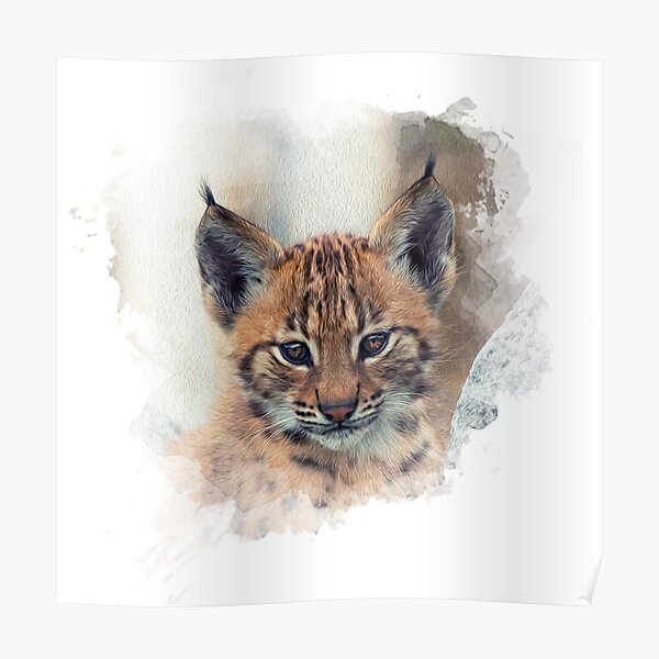 Baby Lynx By Pearcatprod Redbubble