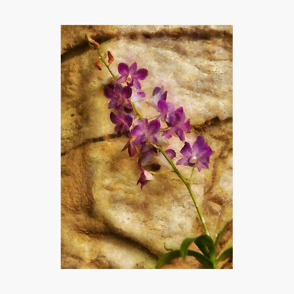 Item preview, Orchid - Just Splendid designed and sold by Mike Savad Photography.