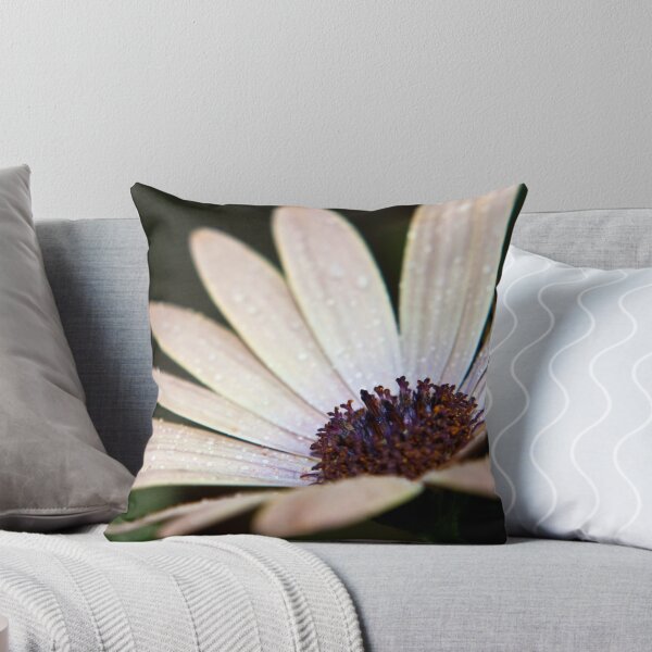 Item preview, Osteospermum Serena designed and sold by Lissywitch.