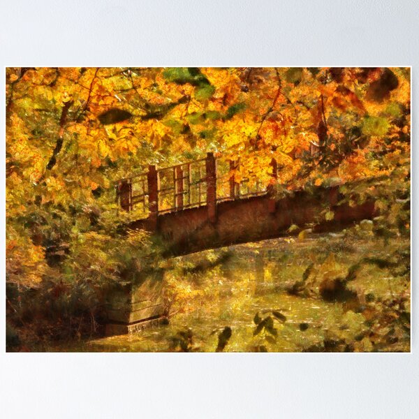 Item preview, Bridge - The hidden bridge designed and sold by Mike Savad Photography.