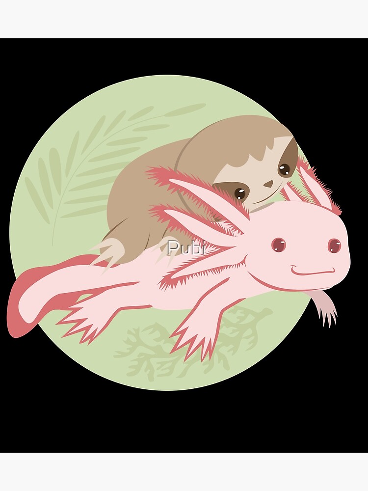 The Little Book Of Axolotl Wisdom - (fun Gifts For Animal Lovers