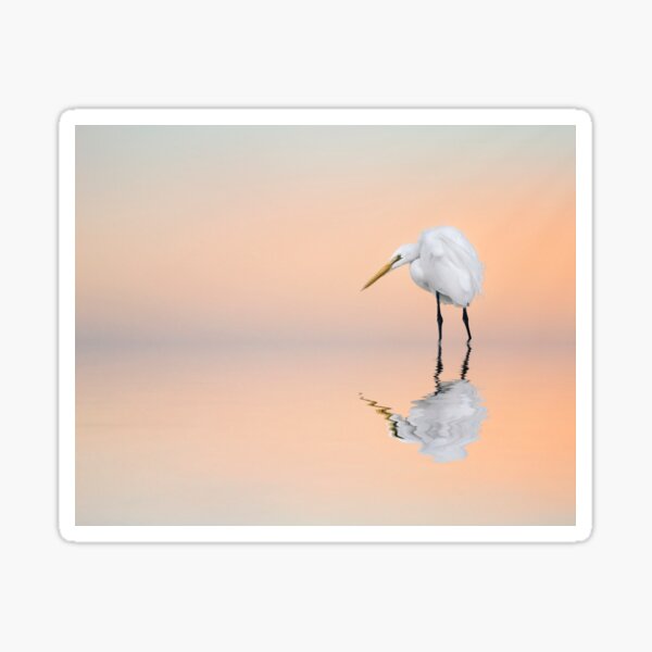 Item preview, Great Egret Reflecting designed and sold by Brian Tarr.