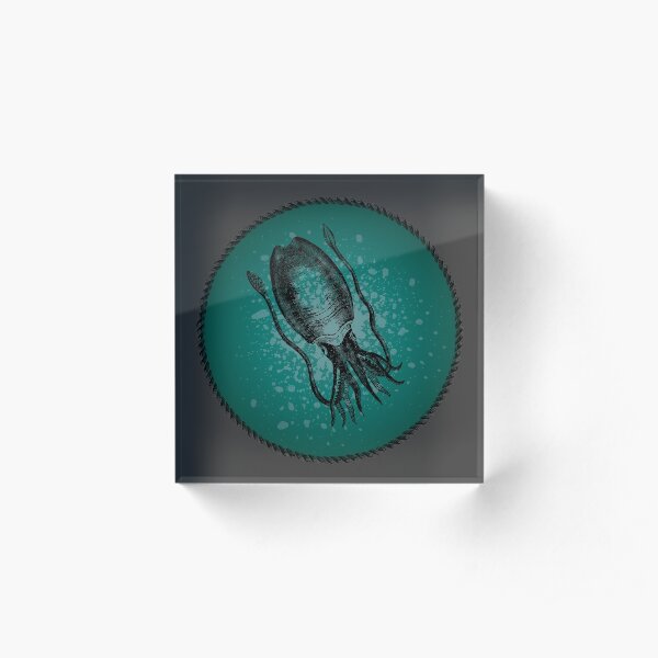 Squid in Teal Waters Acrylic Block