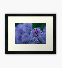 Blush Brush Framed Print