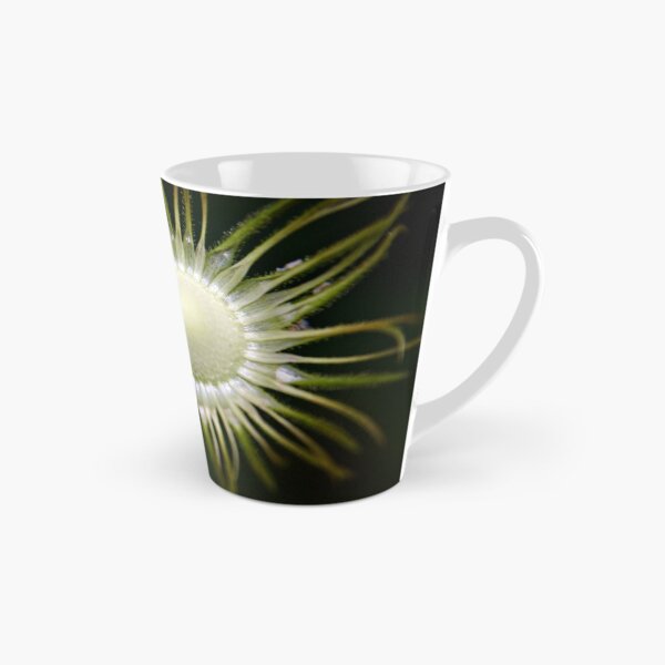 Item preview, Doronicum seed head designed and sold by Vicki Field.