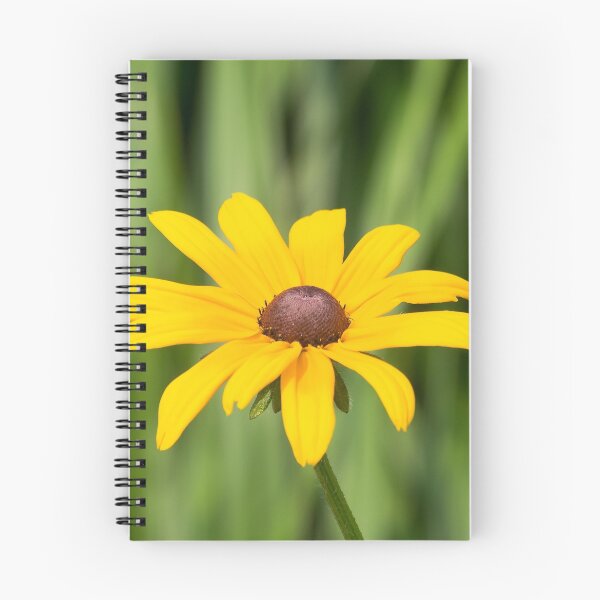 Item preview, Black Eyed Susan designed and sold by EugeJ.