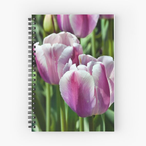 Item preview, Pink and White tulips designed and sold by PhotosByHealy.