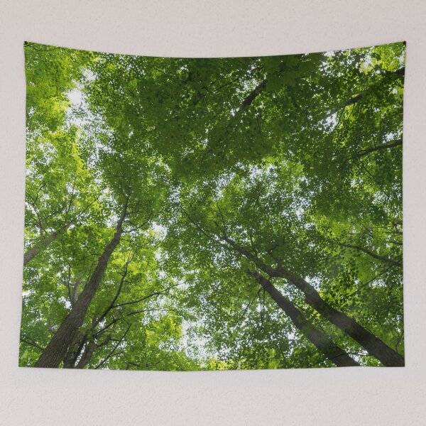 Item preview, Natural Skylights - Biophilic Ceiling in the Woods designed and sold by Georgia Mizuleva.