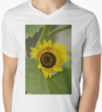 Sunflower - macro Men's V-Neck T-Shirt