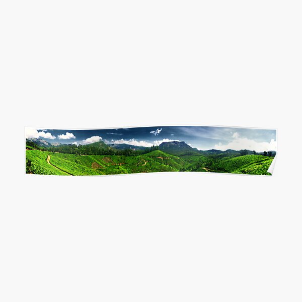 Munnar Tea Garden Poster