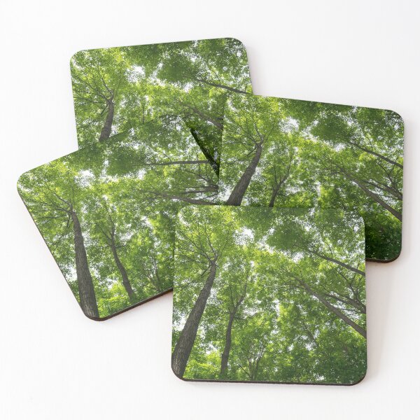 Item preview, Natural Skylights - Biophilic Ceiling in the Forest designed and sold by Georgia Mizuleva.