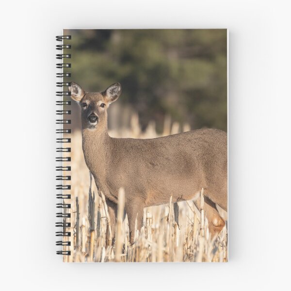 Item preview, White-tailed Deer 2019-1 designed and sold by Thomasyoung.