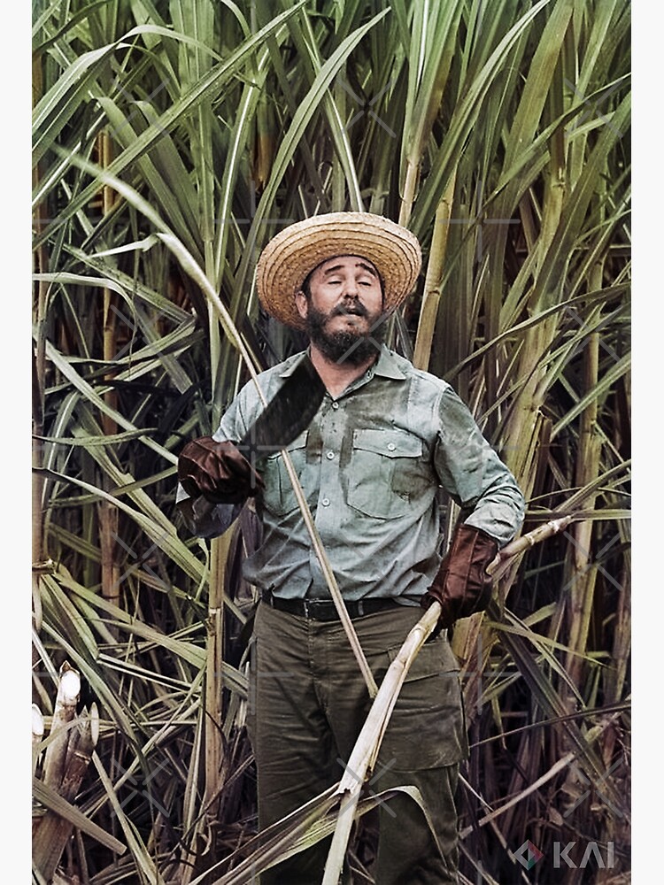 Fidel Castro, 1969 colorized Postcard for Sale by KAI-Studio