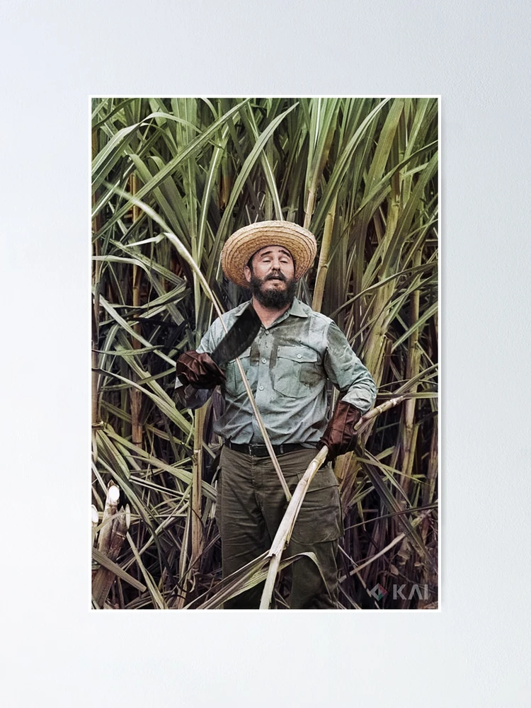 Ernesto Che Guevara, 1959 colorized Postcard for Sale by KAI-Studio